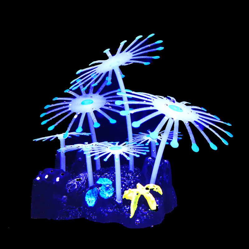 蓝色羽毛珊瑚.jpg