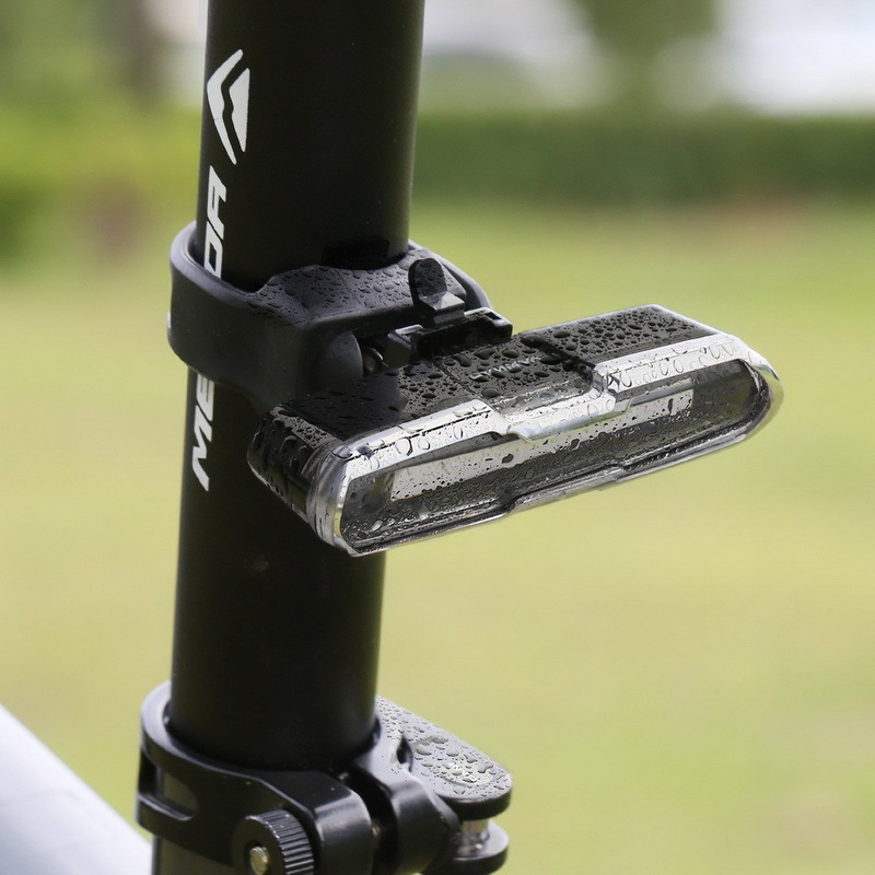 Tail Light in Action