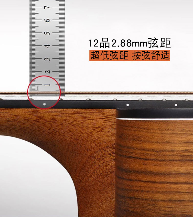 Carma Guitar_07.jpg