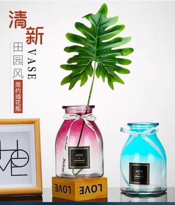 创意简约玻璃花瓶透明彩色水培植物绿萝渐变玻璃花瓶客厅插花摆件
