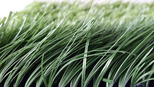 扬州草坪增塑剂-地毯增塑剂-合成植物酯