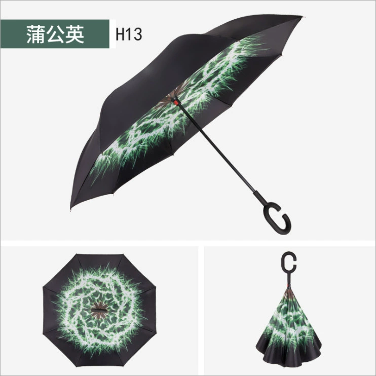 Double-layer umbrella for car, Birthday gift