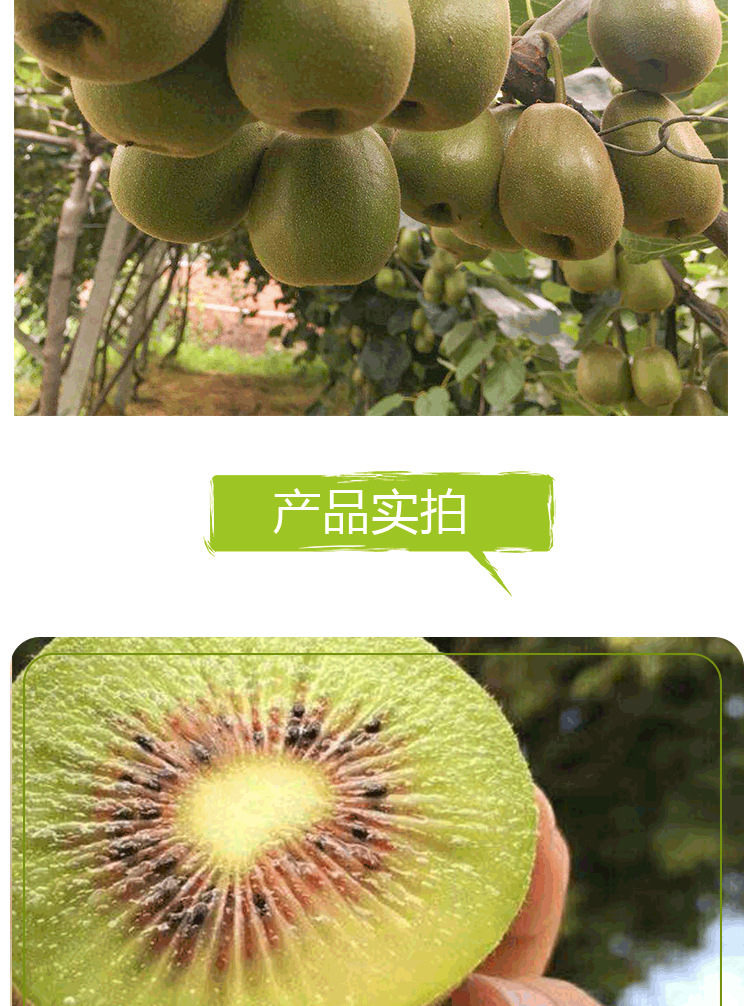 红心猕猴桃详情页2组_04