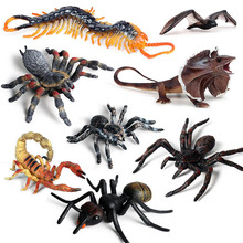 兒童科教仿真動物模型整蠱玩具昆蟲擺件沙盤場景萬聖節蜘蛛套裝