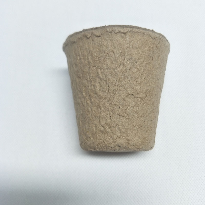 未标题-1_0002_QQ图片20190404170421