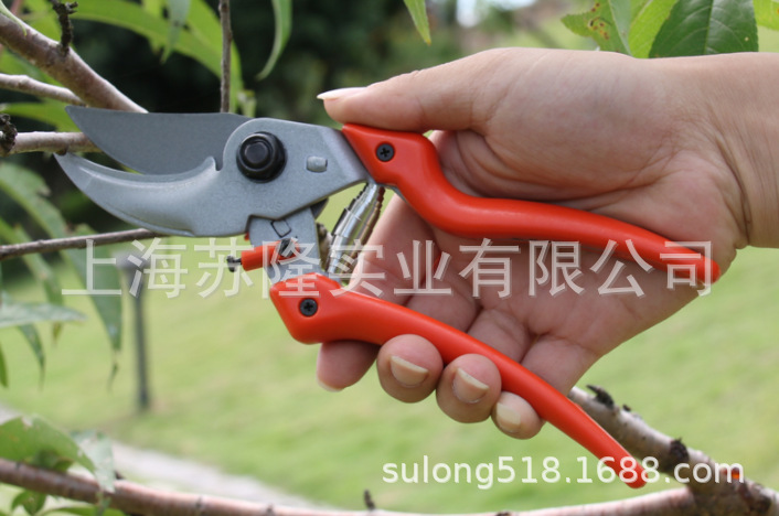 德国狮牌9107/9109修枝剪果树剪花枝剪子园艺手剪园林粗枝剪