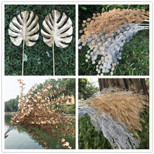 ��ɫϵ ���滨���ٻ����F �����~ �Pβ �Fڡ��c�b�ˇ���滨