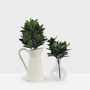 ��Ʒ�����~ ����ֲ������ �Ҿ��b���b[�� ֲ����� һ�����l