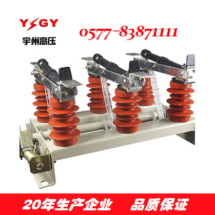 供应FN5-12R(L)系列负荷开关