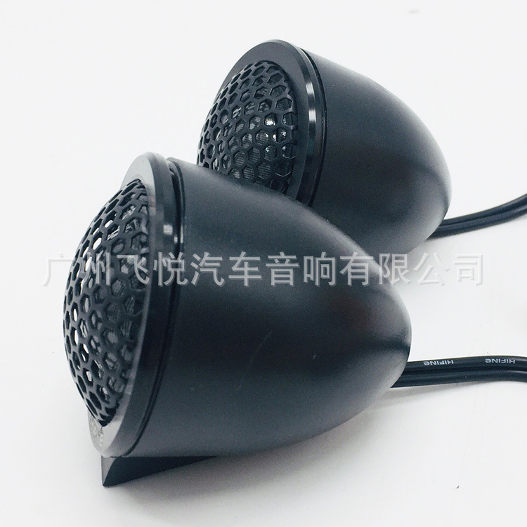 高音R6 (4).jpg