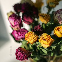 �S���¼��۹��ɻ��滨����ֱ�Nõ�廨�������������b�ins