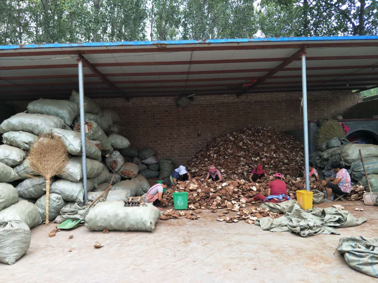 0dfb15eff5770e6d0f3521778ea671