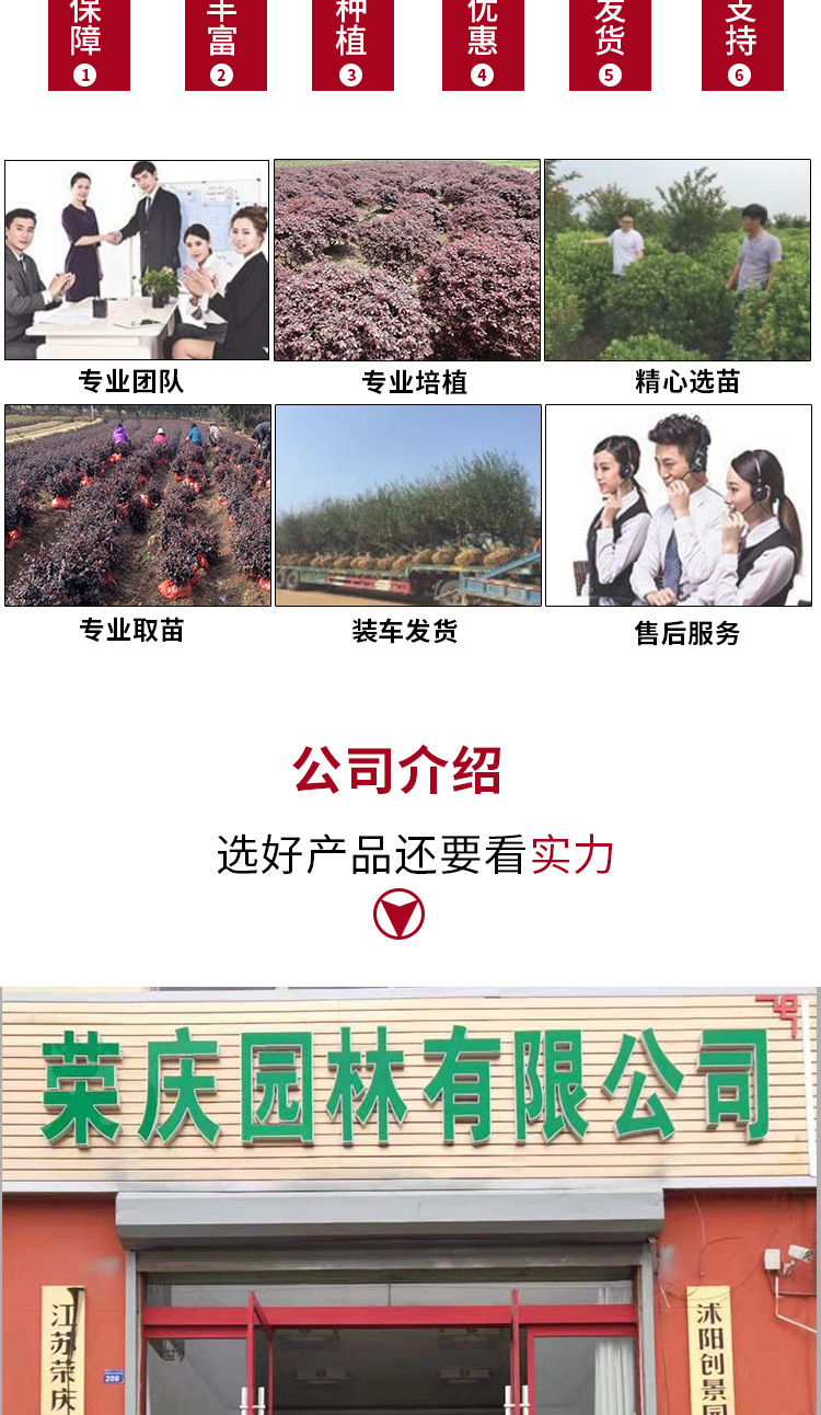 详情页_18.jpg