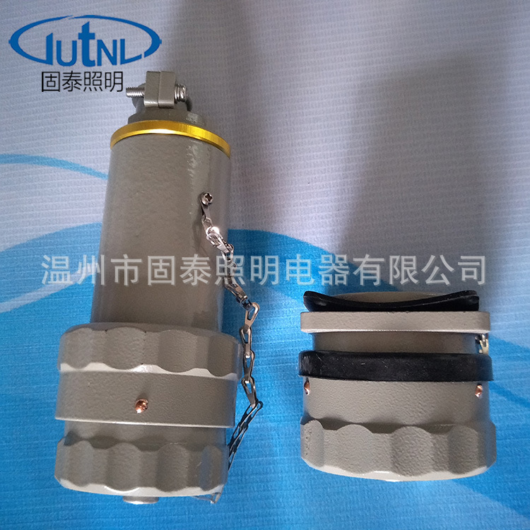 BWX-15A/220V无火花型防爆插头插座 GTZ-30/380V防爆插销 固定式