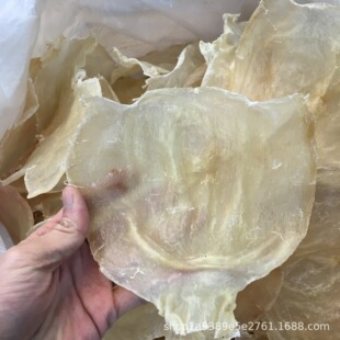 �����~�z�����z�׻��z���z ��~�z���z��؛500�˴������l