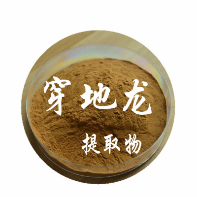 穿地龙提取物 25% 45% 薯蓣皂甙 穿地龙粉 穿地龙皂甙 厂家供应