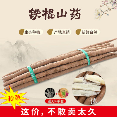 新鲜铁棍山药淮山小白嘴白山药 5斤装 口感软糯美味|ms