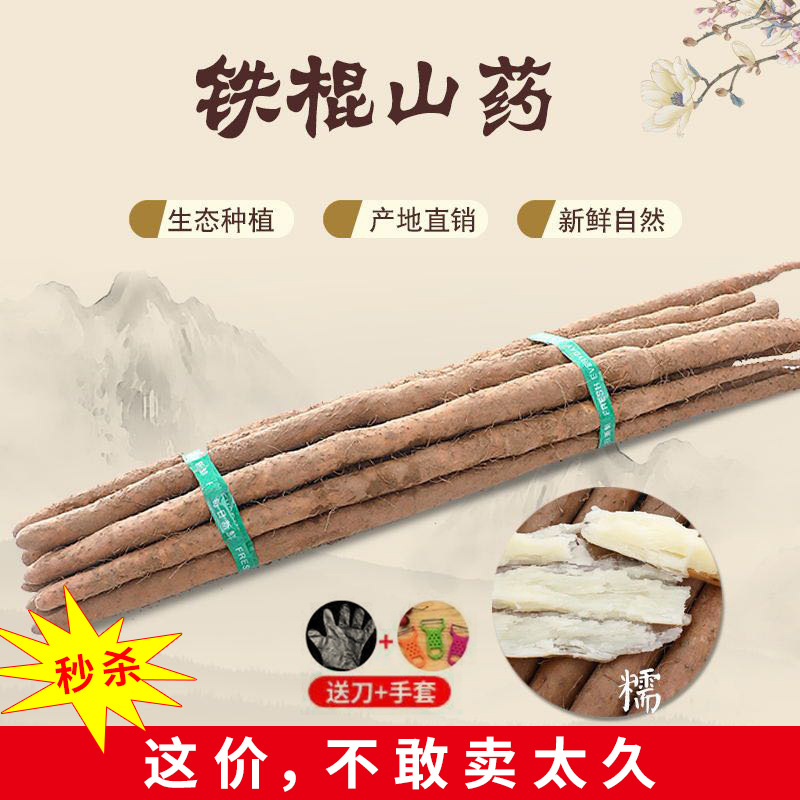 新鲜铁棍山药淮山小白嘴白山药 5斤装 口感软糯美味|ms