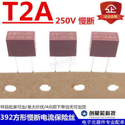 392方形 慢斷電流保險絲 250V T2A T2000mA 量大價優 現貨