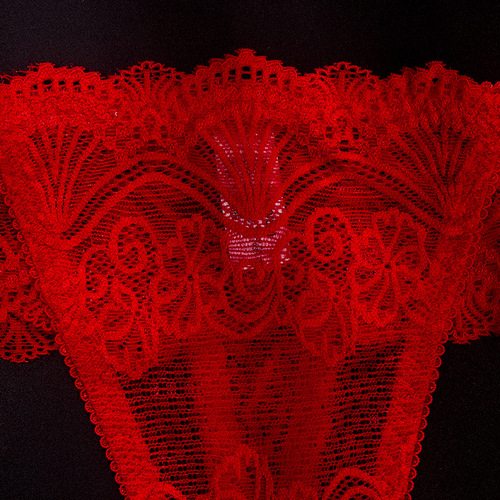 European and American style underwear sexy lace transparent hollow sexy sports low-waist seamless women's briefs thong