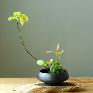 �մɻ���͹ŶU���������ʽ��ʽ�|�������廨����ˮ������؛��