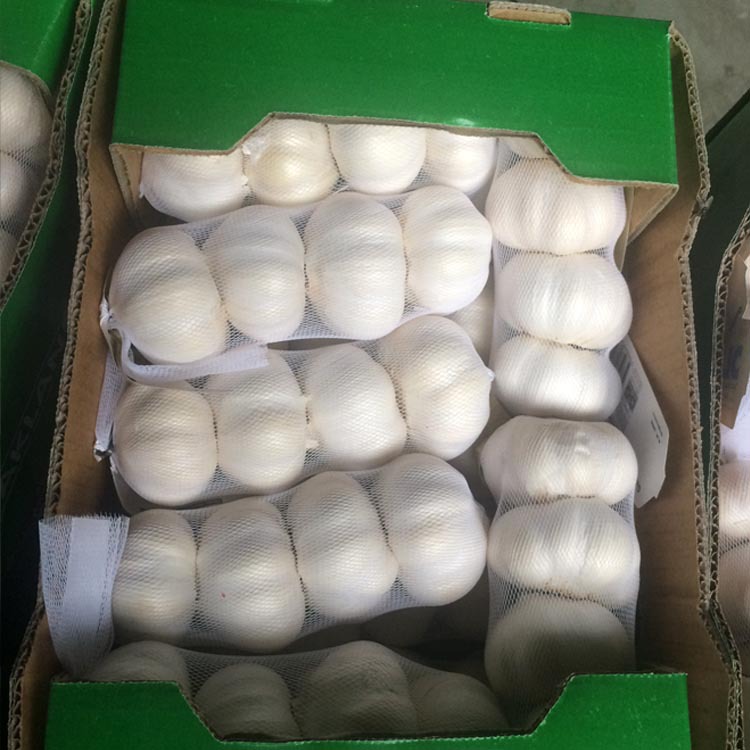 金乡大蒜出口加工,大蒜直供商场超市,按要求定制大蒜包装