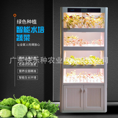 Vegetables machine Symbiosis of fish and vegetable balcony Soilless cultivation green Healthy plants Floriculture direct deal