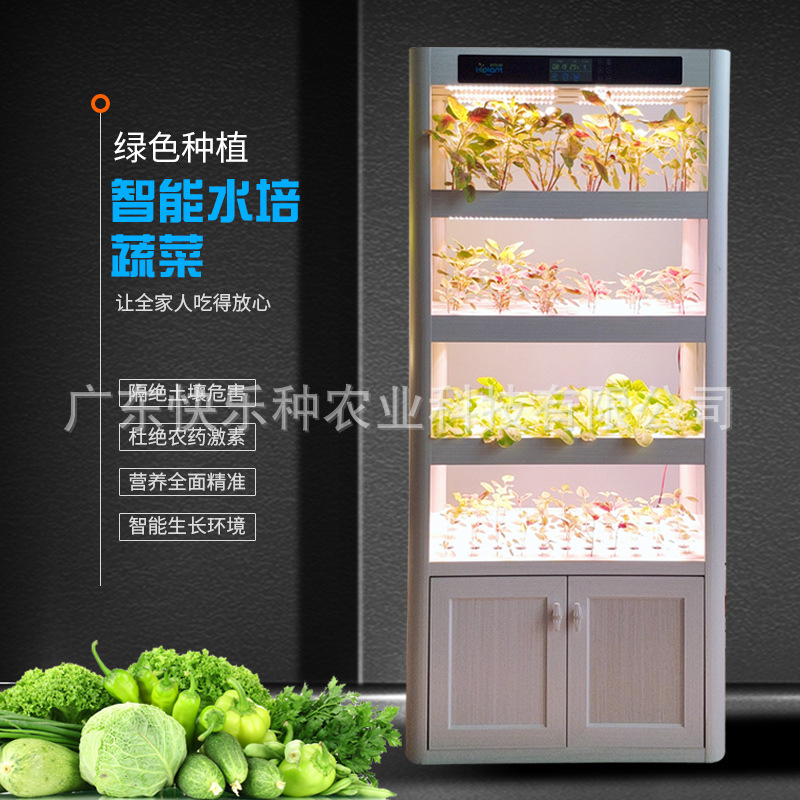 Vegetables machine Symbiosis of fish and vegetable balcony Soilless cultivation green Healthy plants Floriculture direct deal