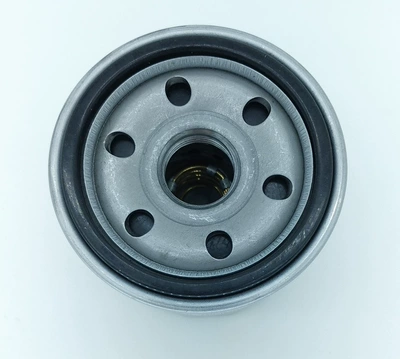Oil filter wulingzhiguang star Xiaokang