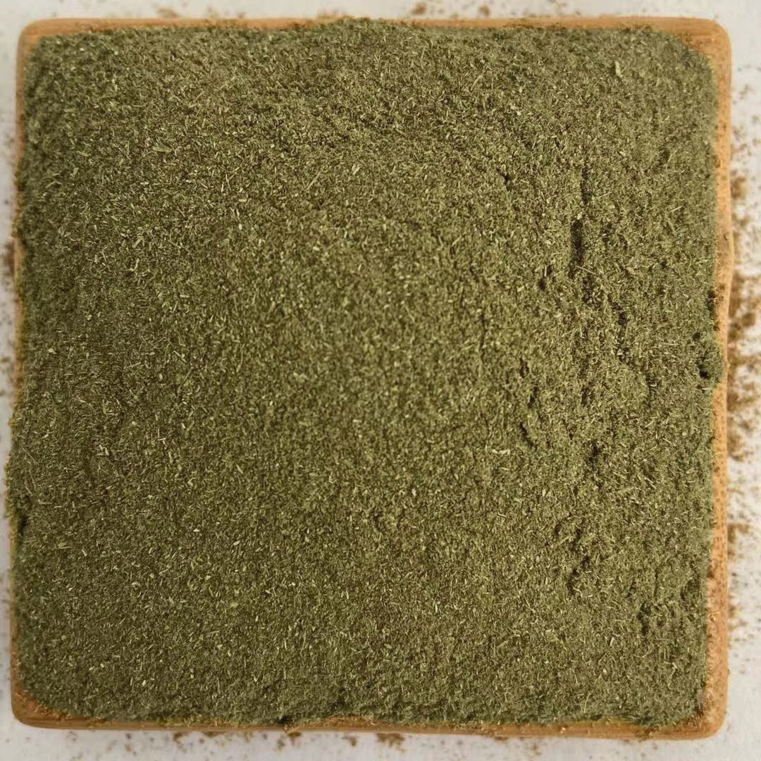 纯绿色松针粉鸡猪兔用饲料原料厂家批发松针粉各种植物性饲料批发