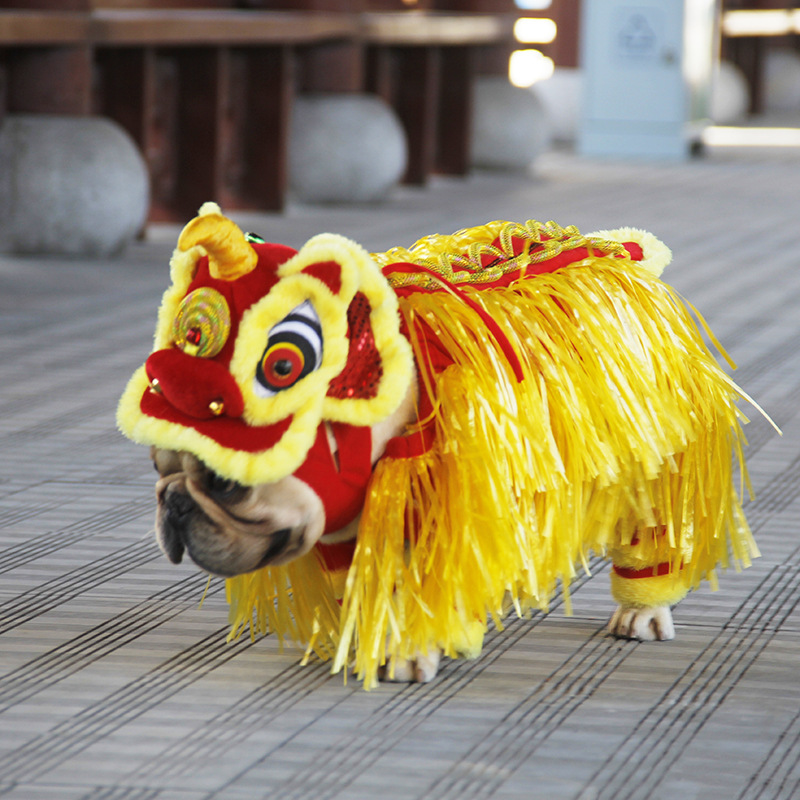 Transformación de Año Nuevo traje jizai suministros para Mascotas Fábrica Año Nuevo ropa de León estilo chino cubo francés Ropa de baile de León