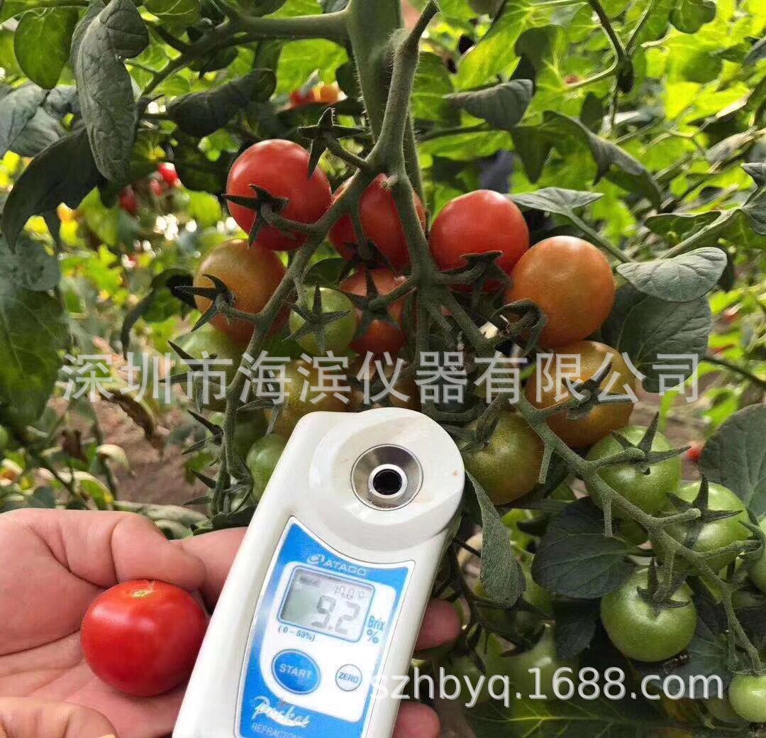 爱宕PAL-2数显浓度计45-93%数显糖度计数显折射计水果蔬菜糖分计