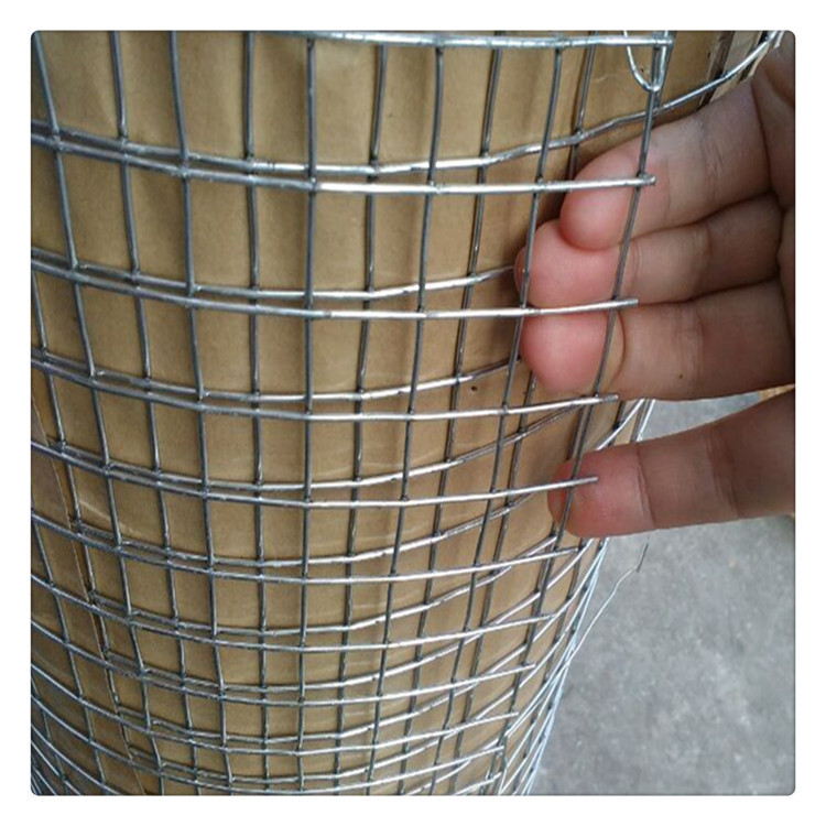 厂家生产电焊网批发 不锈钢电焊网片 养殖热镀锌电焊网镀锌钢丝网