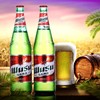 Xinjiang specialty take life Wusu Wusu Beer 620ml9 Restaurant Chongqing beer Wine wholesale