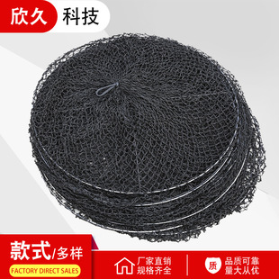 �p�F���F�A���������ʹ��ðו���̖�����w��̖���]�����^�����