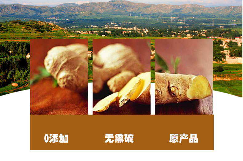 Dried Ginger Shreds (Zingiber officinale) — Yunnan Dried Ginger for Tea & Soup quality and texture