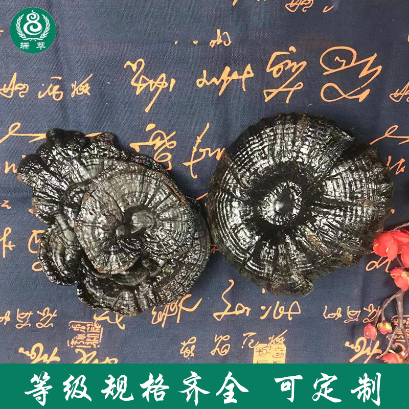 野生靈芝 滋補品中藥材批發壹件代發深山農産品優質道地 野生靈芝