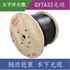 Pacific fiber optic cable Steel wire armor GYTA33 Submarine optical cable Underwater optical cable Fiber optic cable manufacturer