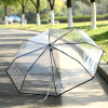 The new creative small fresh youth series transparent three -fold umbrella cartoon hand -folding student couple