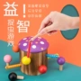 木制训练拼插协调玩具