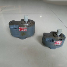 【厂家供应】齿轮泵 不锈钢齿轮泵 高质量齿轮泵 高质量齿轮泵