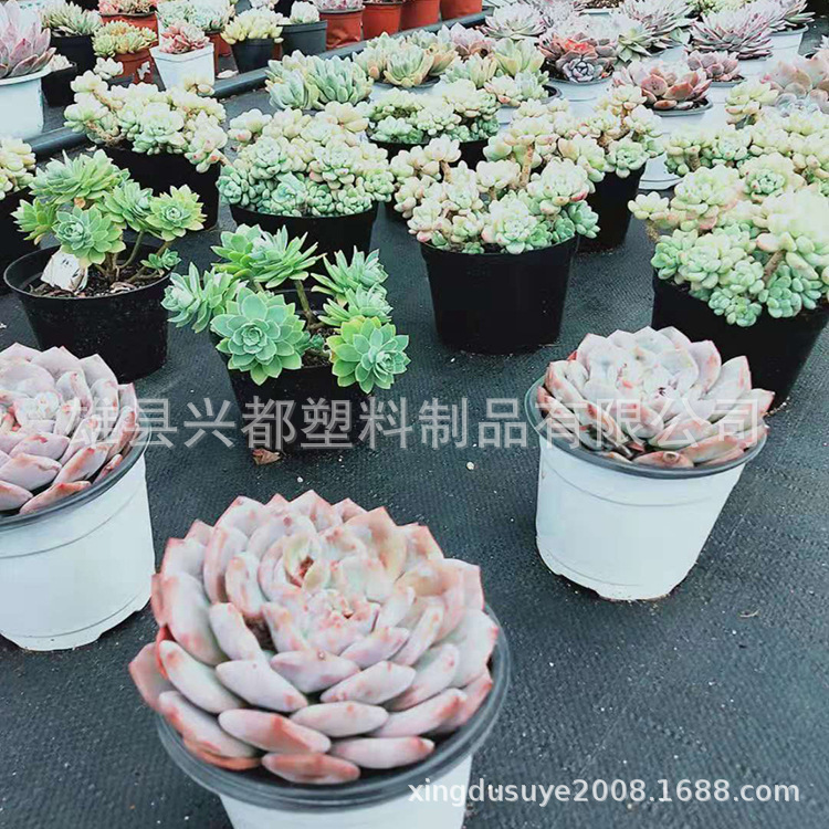 微信图片_201907271736152