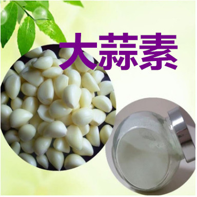 现货供应饲料级 猪牛羊増食鸡鸭鹅水产用大蒜素