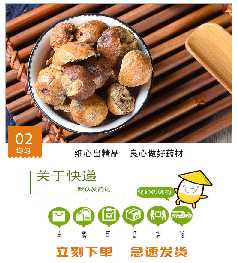 Chuan Lian Zi (Melia toosendan) — Dried Sichuan Chinaberry Fruit, Unsulfured Bulk Herb quality and texture