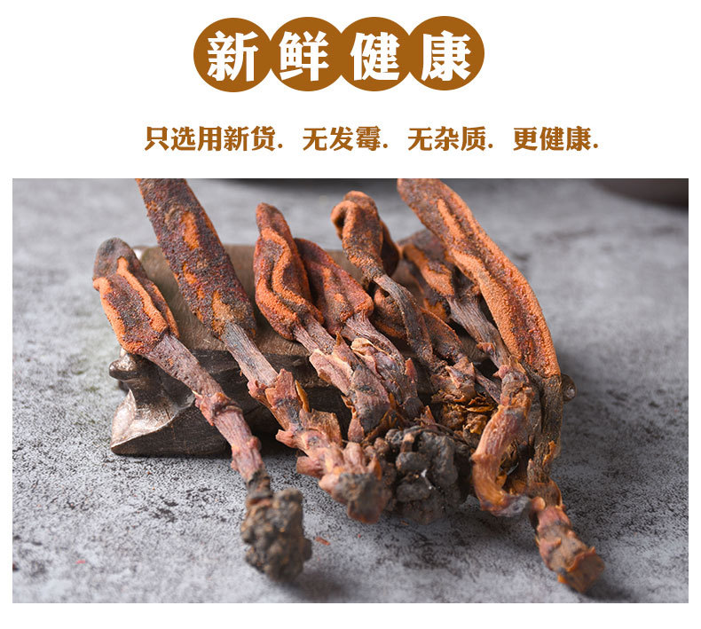 Hui Chun Cao (Boschniakia rossica) — Dried Whole Food Herb for Wine Infusion & Decoction key features