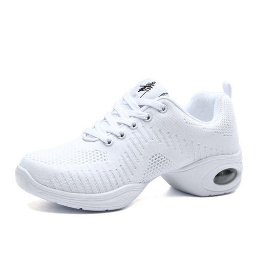 New Breathable Mesh Dance Shoes with Soft Sole for Women, Square Dance Shoes for Adults, Fitness and Exercise Shoes, Aerobics Shoes