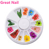 Organic plant lamp for manicure, set, nail polish, nail decoration, 12 colors, 24 pieces