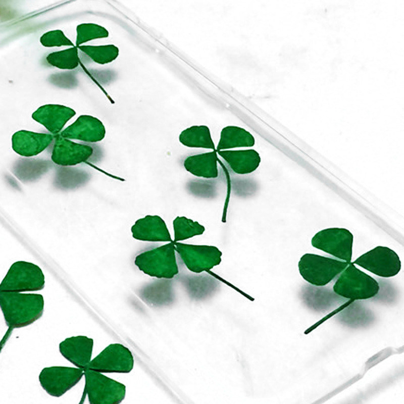 organic lucky clover