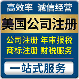 代理注册美国公司 财务代理记账报税 美国公司年审 海外公司注册