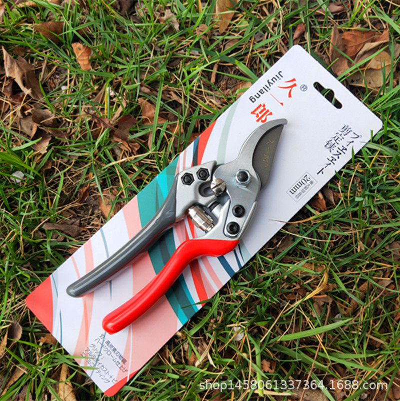 供应台湾久一郎果树剪刀修枝剪园艺园林工具新款花剪SK5钢修树剪